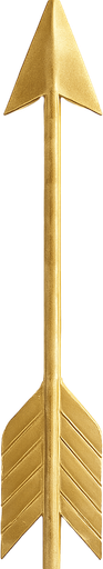 make this photo up to down