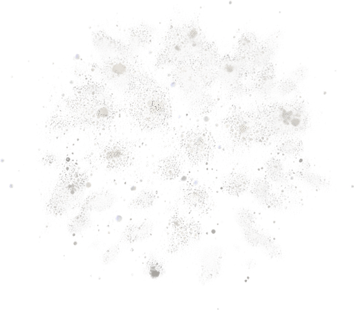 some dust
Single Game Texture. In-Game asset. 2d. Blank background. High contrast. No shadows.
