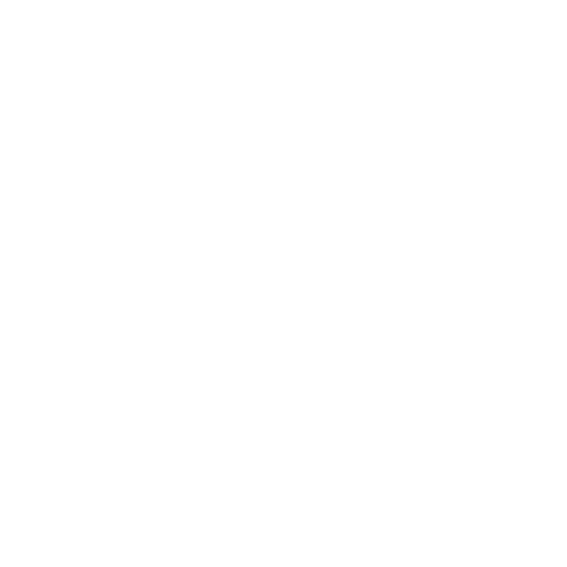 Çift kollu elektro gitar. No background. Transparent background. Blank background. No shadows. 2d. In-Game asset. flat