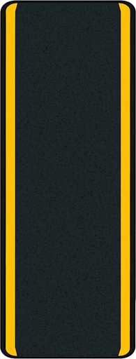 Tam olarak yukaridan gorunen seritsiz duz bir yol.
In-Game asset.  2d.  High contrast.  No shadows