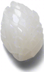 One white grain of rice