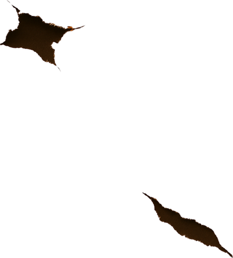 Add small tears in two places and a burn mark in one place.