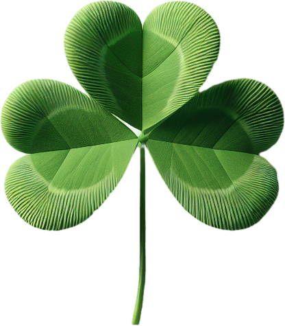 3 leaf clover in a white paper card with rounded corners, front view.