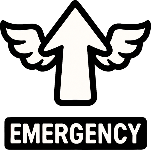 emergency icon